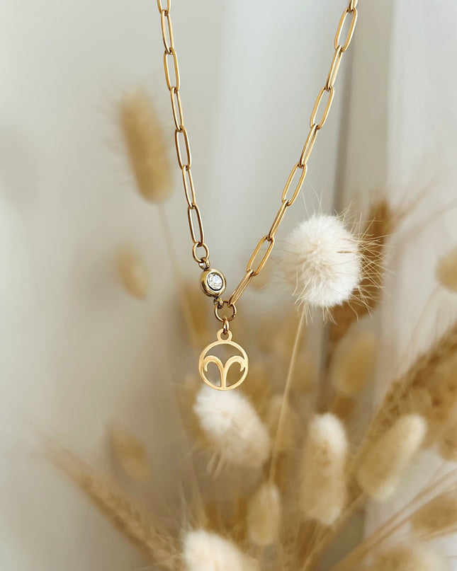 Zodiac Birthstone Necklace