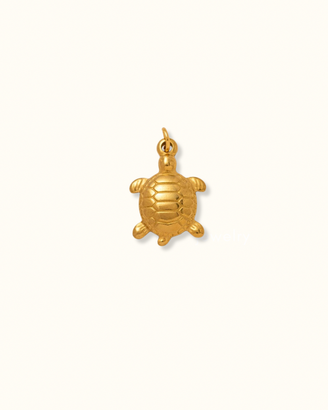 Turtle Charm