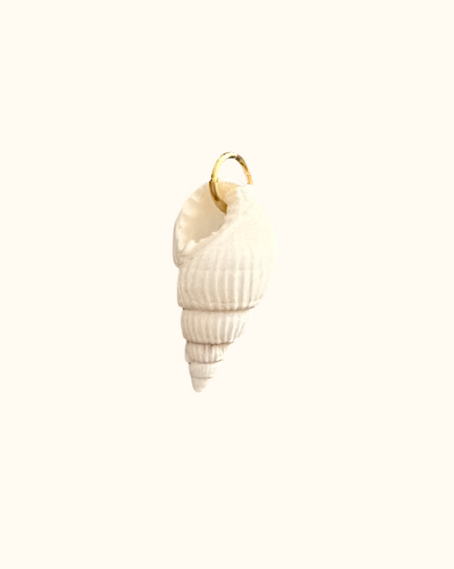 White Hermit Shell Charm