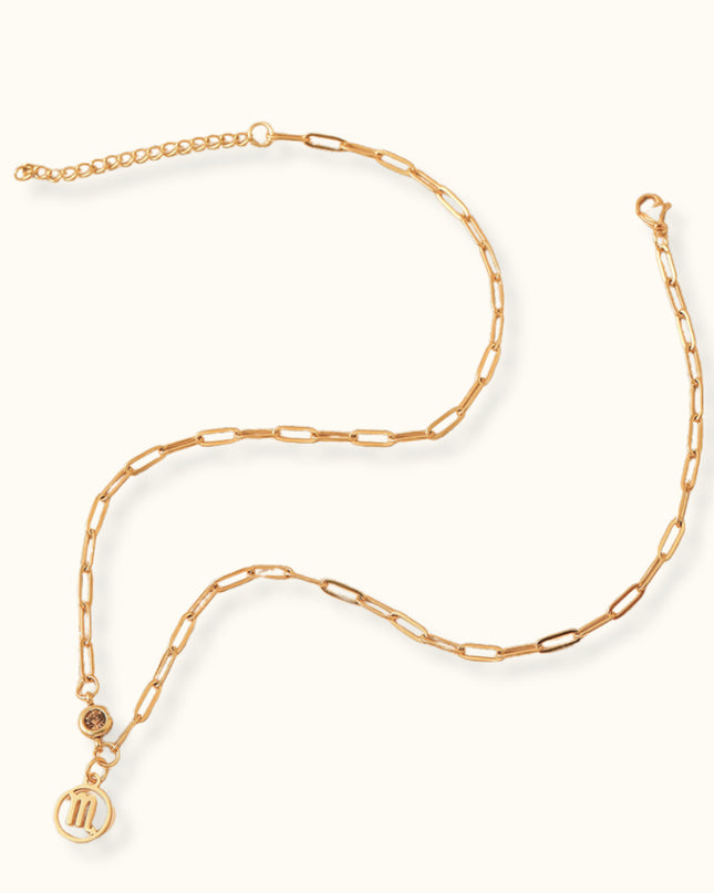 Zodiac Birthstone Necklace