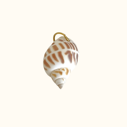Brown Striped Shell Charm