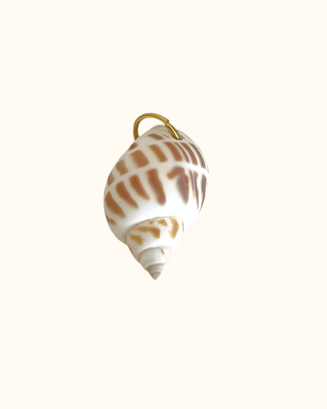 Brown Striped Shell Charm