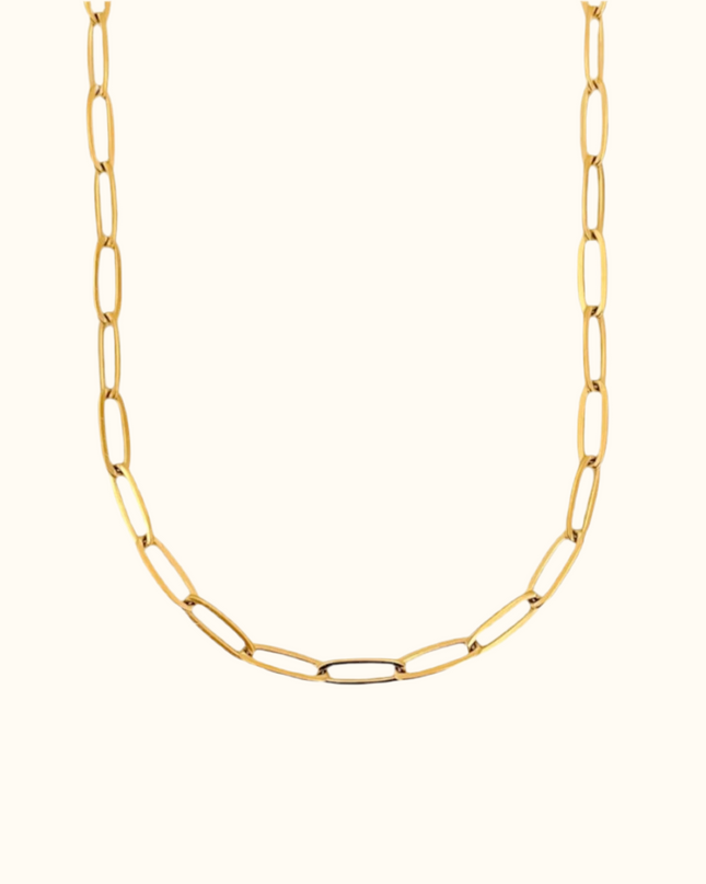 Rocio Multi Charm Chain