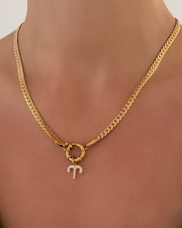 Zodiac Charm