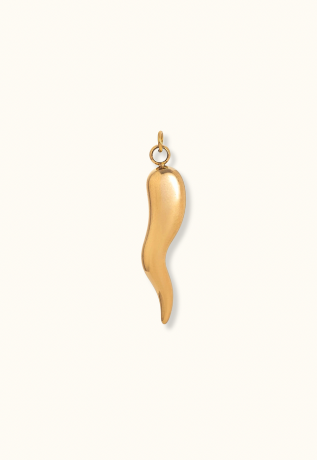 Golden Chili Charm