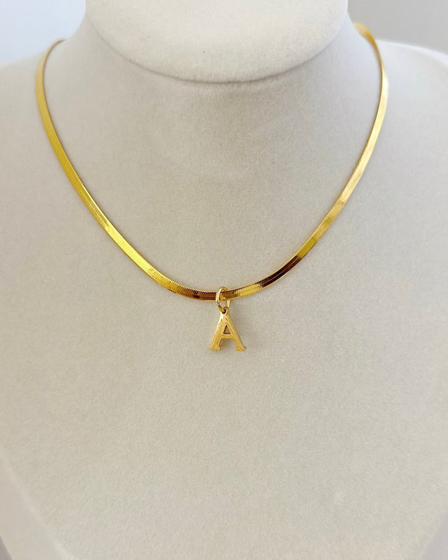 Initial Snake Chain
